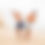 Thumbnail: It is, Swimshorts
