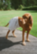 tomadam-team-photo-benjamin.png